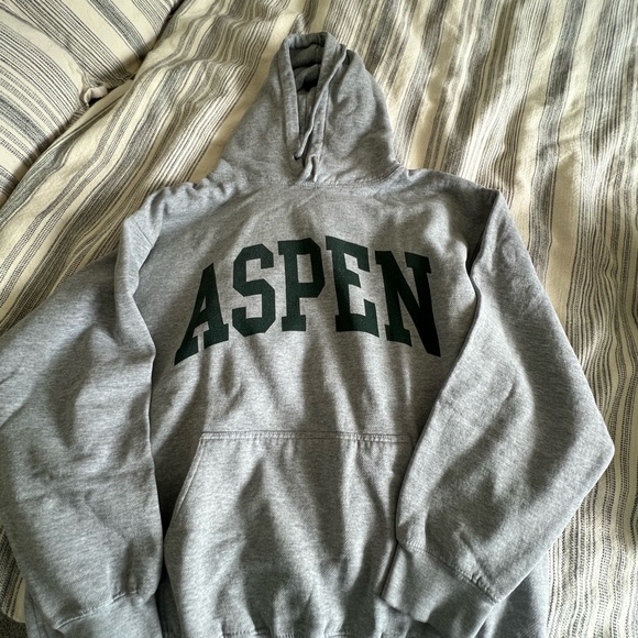 Brandy Melville Tops - Gray Aspen Hoodie from Brandy Melville